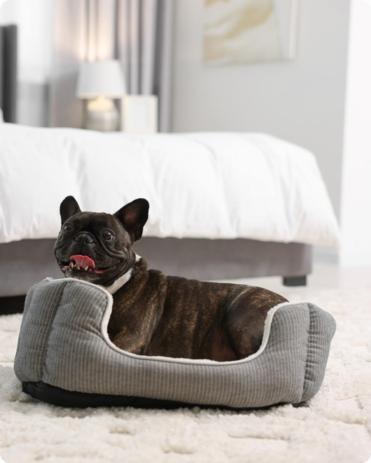 Beds