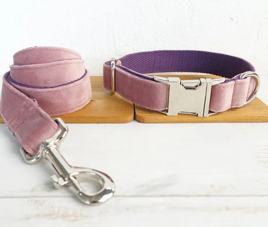 Dog Leash and Collar Set for Pets