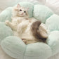 Calming Indoor Pet Beds