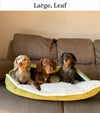 Orthopedic Burrow Bed for Anxious & Burrowing Pups