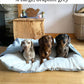 Orthopedic Burrow Bed for Anxious & Burrowing Pups