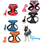 Premium Dog Harness