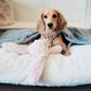 Orthopedic Burrow Bed for Anxious & Burrowing Pups