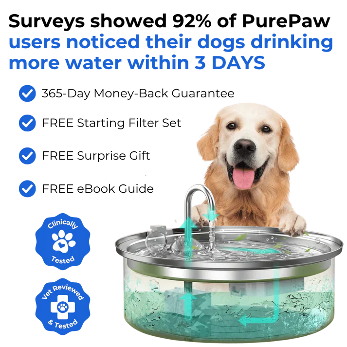 Health and Happiness Fountain Kit