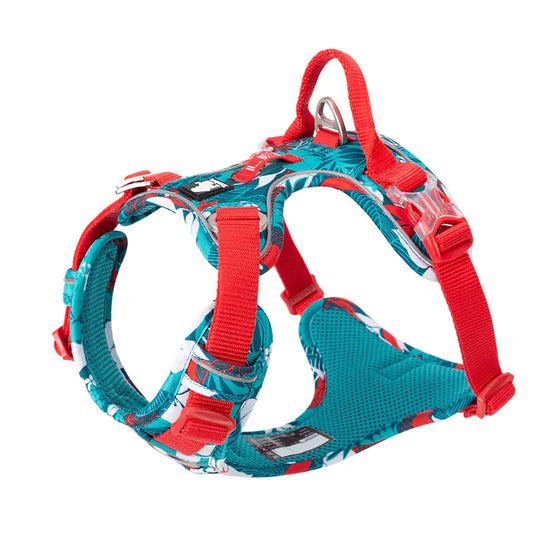 Dog Leashes and Chain Vest Straps for Dogs
