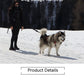Dog Sled Harness