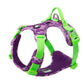Dog Leashes and Chain Vest Straps for Dogs